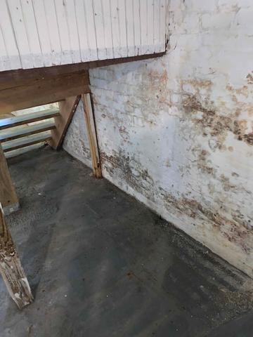 Efflorescence is visible along the walls of the basement, indicating that outside moisture has seeped through these porous brick walls, bringing along with it the salts and sediments from within the bricks to the surface, creating a chalky, powdery substance.