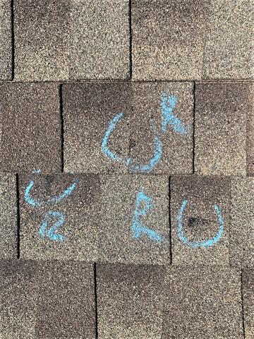 You can see the holes the hail made in the shingles.