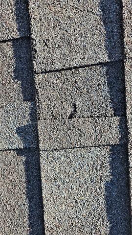 Hailstones made big holes in the shingles.