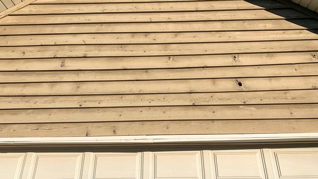 The knot in the wood siding came out.
