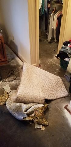 Process of removing the carpet