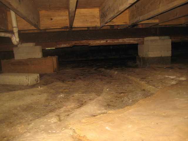 This dirty crawl space is the perfect breeding ground for pests and mold growth!