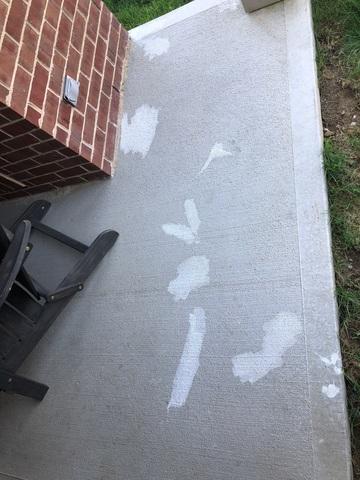 The main area of paint concern.