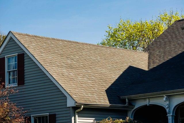 New shingles