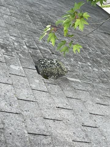 Bad Roof Shingles
