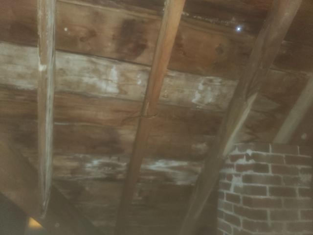 Interior Decking- Shows leaking