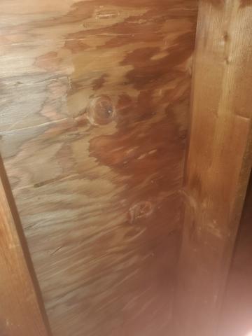 Interior Decking- Shows Leaking