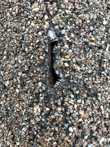 Damaged Shingles