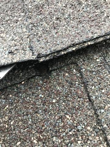 Exposed Nails.