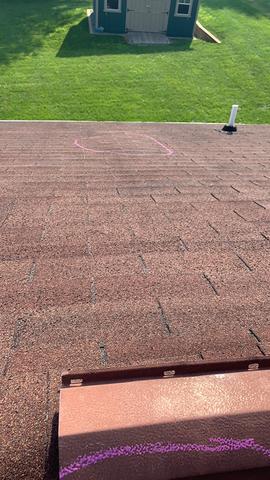 Old Shingles- Granule Loss.