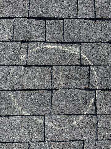 Loose Shingles