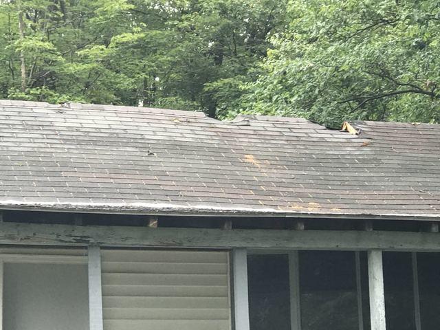 Roof Damage- Falling Tree