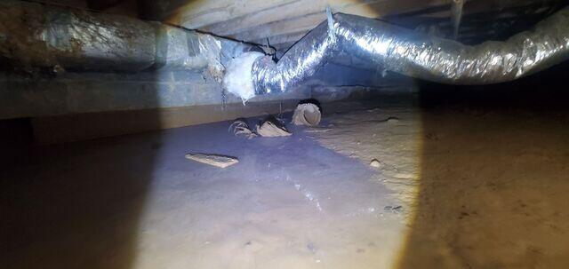 This crawl space was suffering from ongoing water seepage, resulting in increasingly damp conditions. Luckily our System design Specialist was able to conduct an extensive inspection, and successfully determined the most effective waterproofing approach.