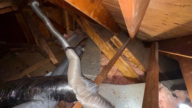 Attic prior to insulation removal