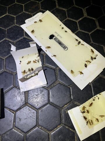 We found a bunch in our monitoring devices.