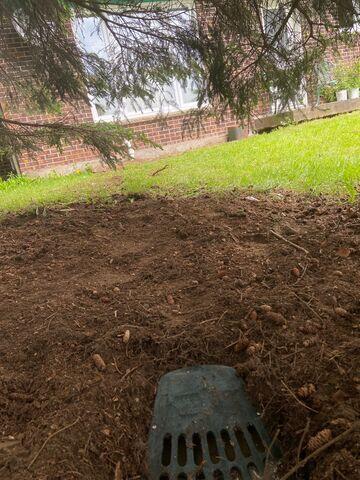 Sortie de drainage LawnScape