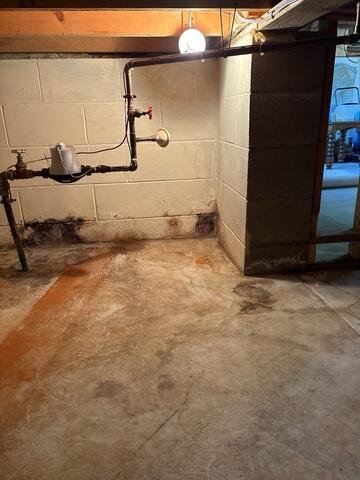 Mold
