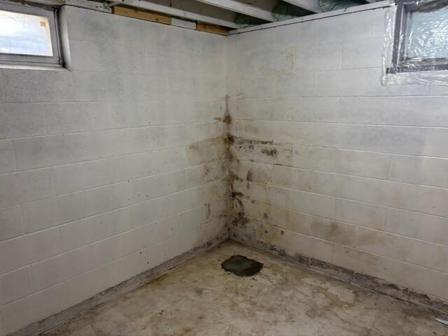 Before: Daniel, one of our Design Specialists, recommended waterproofing the entire basement.