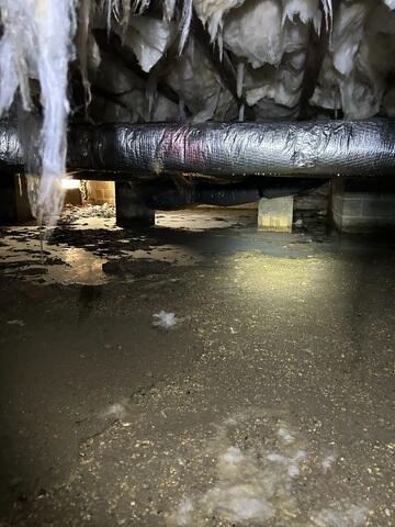 Before the transformation: the crawl space was damp, musty, and vulnerable to mold and structural issues.