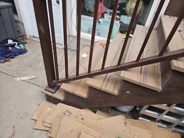before the clean up