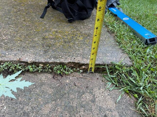 A close up of one of the bumps