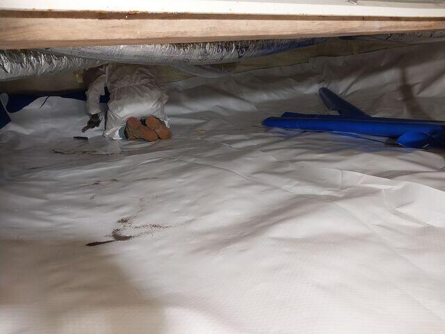 During: Our Foreman, Franklin, and his crew successfully encapsulated the entire crawl space.