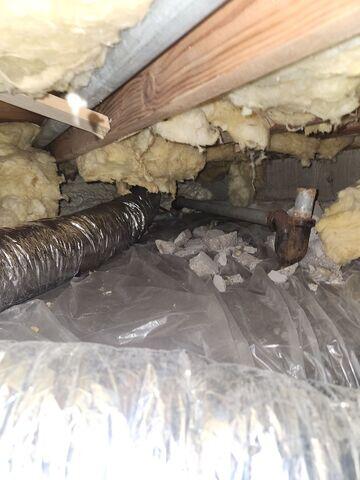 Before: Our Design Specialist, Dylan, recommended encapsulating the entire crawl space.