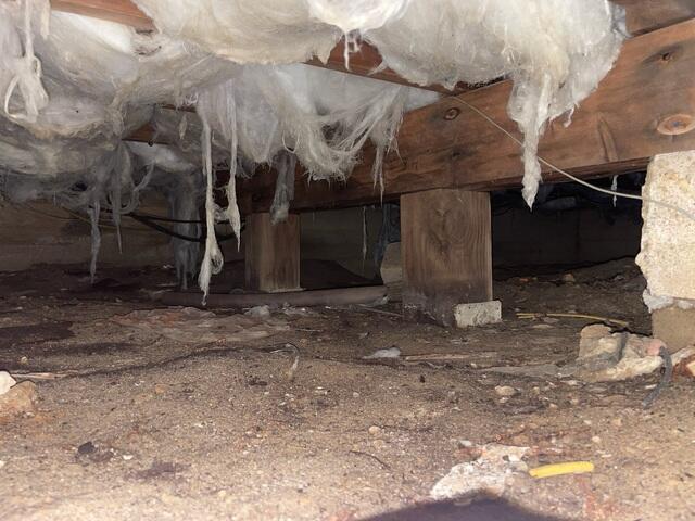 Moisture and sloping conditions raised concern in this Point Pleasant Beach crawl space.