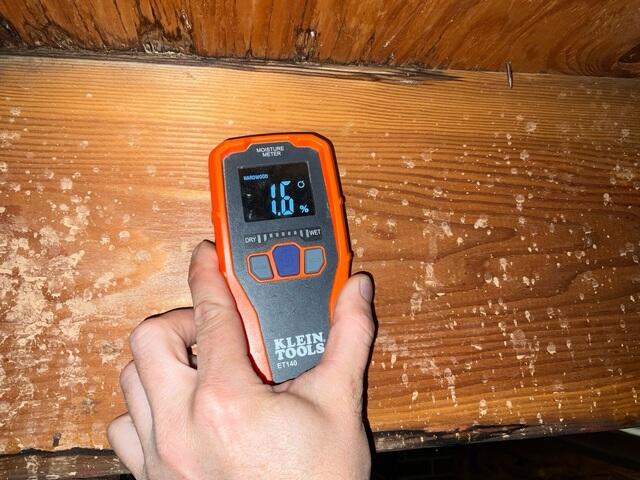 Moisture meter showing water on the supports holding up the floors above the crawl space.