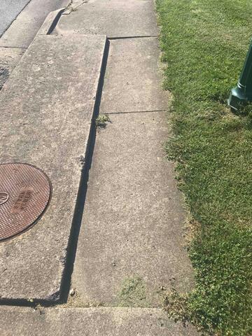Spot 3 - Before Photo: You can tell this is the same spot as the "Spot 3 - After Photos" due to the green pole to the right.