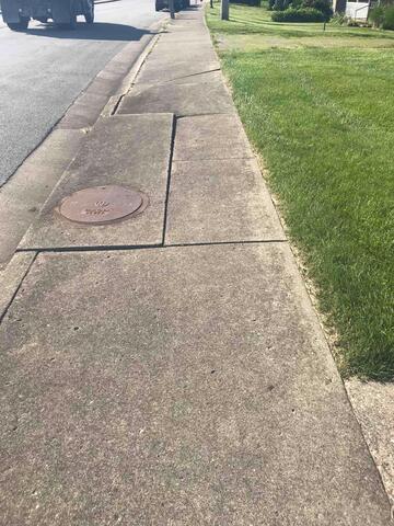 Spot 6 - Before Photo: You can tell this is the same spot as the "Spot 6 - After Photos" due to the adjacent sidewalk slab seen in the bottom right of this photo.