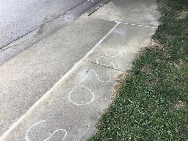 Spot 1 - After Photo: No more tripping hazards lurking in the shade!