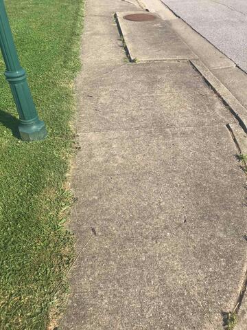 Spot 7 - Before Photo: You can differentiate this spot from the others due to the placement of the green pole being outside the slab containing the manhole cover.