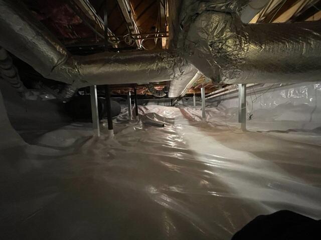 New CleanSpace