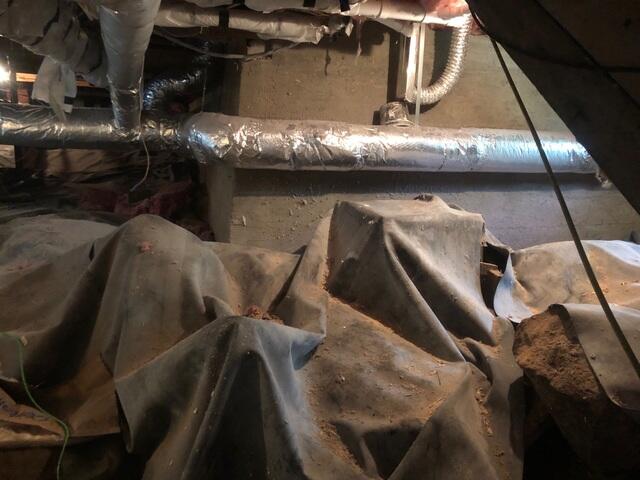 Crawl Space - Before
