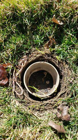 clogged pipes improper filter to the gutters above, causes this