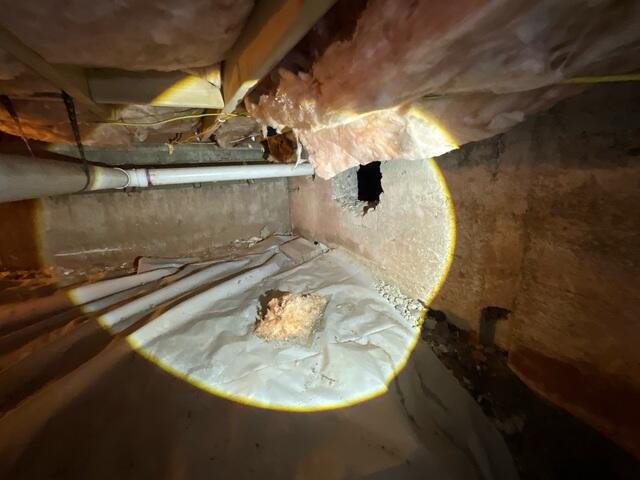 Crawl Space is Damp, dirty and not energy efficient