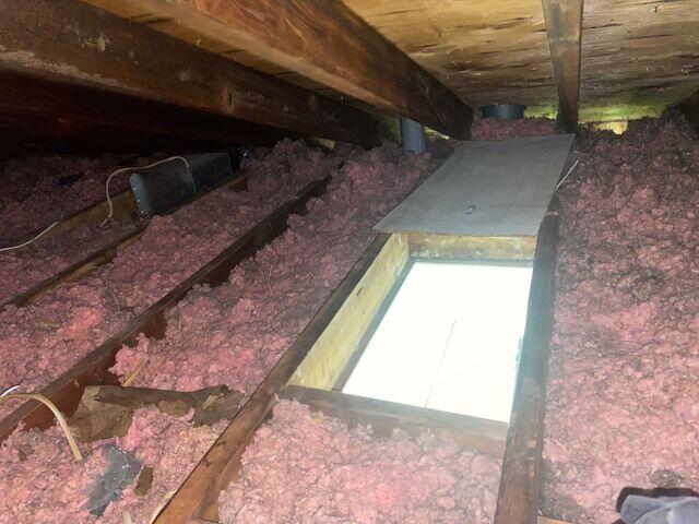Old, original attic insulation. You can see some recessed light to the left in this picture.