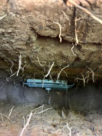 During: Our Design Specialist, Juan, recommended installing Geolock Wall Anchors along the struggling walls.