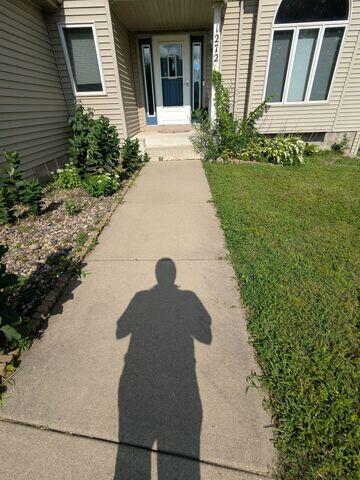 The sidewalk before it was lifted and sealed