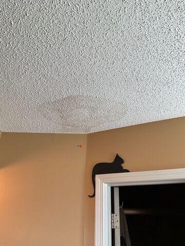 Ceiling
