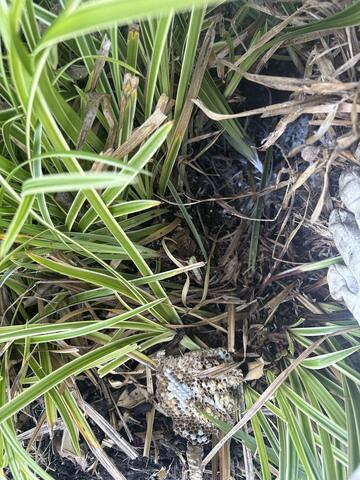 ....and here's another!