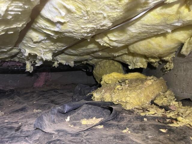 This crawl space had a lot of water intrusion over the years creating a damp atmosphere which was easily absorbed by the fiberglass insulation making it heavy, and falling on the floor. This eliminated the insulation value, causing energy costs to go up as well.