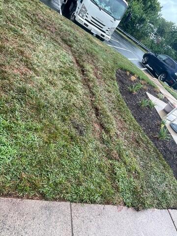 Completed project with minimal disruption to the property