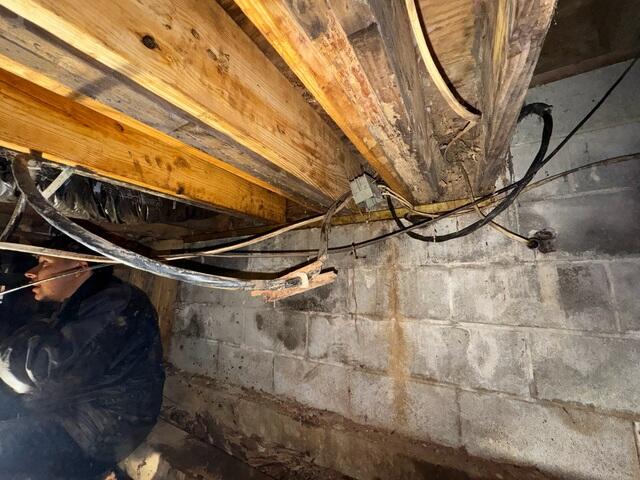 This photo shows the 6 foot section of sil plate we replaced and the new sister joists.