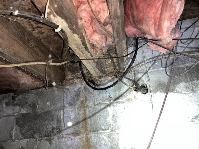This photo shows the termite damaged sil plate and floor joists upon the initial inspection.