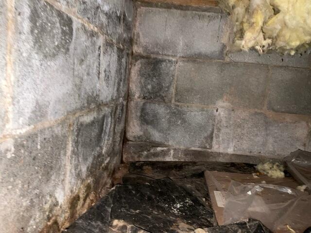 Efflorescence is a clear sign of moisture issues