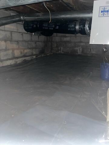 Before: Our Design Specialist, Nicola, recommended encapsulating the entire crawl space.