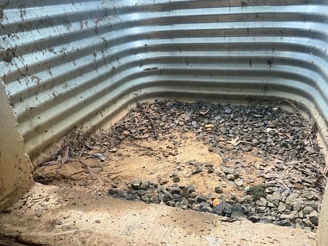 Window well with poor drainage