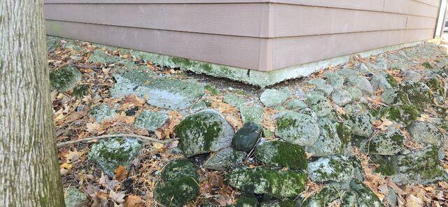 From Void to Stability: A...